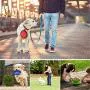 Kathy Large Collapsible Dog Bowls, 2 Pack Portable Foldable Cup Water Bowls with Carabiner Clip for Travel for Pet Cat Food Feeding Kathy Large Collapsible Dog Bowls, 2 Pack Portable Foldable Cup Water Bowls with Carabiner Clip for Travel for Pet Cat Food Feeding