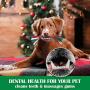 Christmas Stocking Gifts for Dog, Unique for Pets Puppy Chewing Toys Including Red Ball, Candy Cane, Bear Toy and Cotton Knotted Rope
