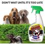 ZorbX Unscented Extra Strength Skunk Odor Remover – Safe for All, Even Pets and Children, with No Harsh Chemicals, Perfumes or Fragrances, Stronger and Safer Skunk Odor Remover Works Instantly and Can