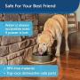 PetSafe Current Pet Fountain, Circulating Drinking Fountain for Cats and Dogs