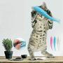 Studyset Catnip Toys Pets Pillow Chew Bite Supplies,Soft Silicone Mint Fish Shape Cat Toothbrush Chew Toy Automatic Cat Teaser