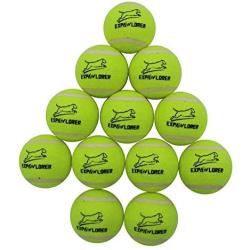 EXPAWLORER Dog Squeaky Tennis Balls for Dogs Set of 12 for Pet Playing and Training 2.5''