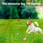 Squeaky Dog Toys, 6 Pack Soft Rubber Puppy Teeth Toys Funny Animal Sets Pet Interactive Fetch Play for Small Dogs Best Gifts