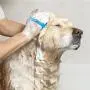 Skoye Pet Bathing Tool, Dog Shower Sprayer Shampoo Washer with Massage Brush, 7.5 Foot Hose and 2 Adapters for Indoor Outdoor Use, Dogs Cat Horse Grooming Skoye Pet Bathing Tool, Dog Shower Sprayer Shampoo Washer with Massage Brush, 7.5 Foot Hose and 2 Adapters for Indoor Outdoor Use, Dogs Cat Horse Grooming