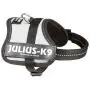 Julius-K9 PowerHarness for Dogs Julius-K9 PowerHarness for Dogs