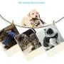 ZZBIQS Escape Proof Pet Harness with Reflective Strips, Universal Kitten and Puppy Harness and Leash for Walking, Breathable and Adjustable Pet Halters, Best Pet Supplies ZZBIQS Escape Proof Pet Harness with Reflective Strips, Universal Kitten and Puppy Harness and Leash for Walking, Breathable and Adjustable Pet Halters, Best Pet Supplies