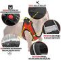 PAWDAY Dog Harness Step-in Air Pet Harness All Weather Soft Touch Mesh Vest Harness No Pull & No Choke and Escapeproof Dog Vest for Puppies, Small Medium Dogs and Large Cats