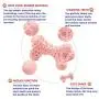 Dog chew Toys Aggressive Sturdy and Durable Dog Toys, Made of Non-Toxic Natural Rubber, Puppies Teething, Suitable for Small Medium and Large Dogs to chew Dog chew Toys Aggressive Sturdy and Durable Dog Toys, Made of Non-Toxic Natural Rubber, Puppies Teething, Suitable for Small Medium and Large Dogs to chew