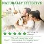 Natural Care Flea and Tick Dog Shampoo | Flea Treatment for Dogs | Flea Killer with Certified Natural Oils | 12 Ounces