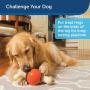 PetSafe Large Sportsmen Bouncy Bone Pet Chew Toy