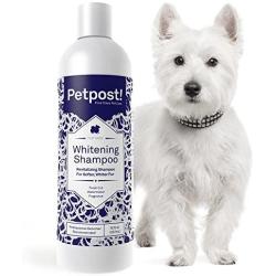 Petpost | Dog Whitening Shampoo - Best Lightening Treatment for Dogs with White Fur - Soothing Watermelon Scent - Maltese, Shih Tzu, Bichon Frise Approved - 8 oz.