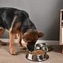 Juqiboom 2Packs Stainless Steel Dog Bowl with Anti-Skid Rubber Base for Small/Medium/Large Pet, Perfect Dish, Pets Feeder Bowl and Water Bowl Perfect Choice for Dog Puppy Cat and Kitten