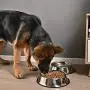 Juqiboom 2Packs Stainless Steel Dog Bowl with Anti-Skid Rubber Base for Small/Medium/Large Pet, Perfect Dish, Pets Feeder Bowl and Water Bowl Perfect Choice for Dog Puppy Cat and Kitten Juqiboom 2Packs Stainless Steel Dog Bowl with Anti-Skid Rubber Base for Small/Medium/Large Pet, Perfect Dish, Pets Feeder Bowl and Water Bowl Perfect Choice for Dog Puppy Cat and Kitten