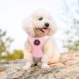 EXPAWLORER Soft Mesh Polka Dots Dog Harness with Matching Leash