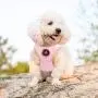 EXPAWLORER Soft Mesh Polka Dots Dog Harness with Matching Leash EXPAWLORER Soft Mesh Polka Dots Dog Harness with Matching Leash