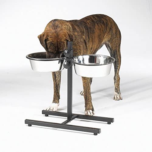 Pro Select Raised Dog Bowls for Large Dogs Elevated Tall Breeds Great Dane 2 Quart Dishes