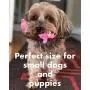 Set 6 Extra Small Squeaky Toys for Dogs Small Puppy Tiny Dogs Natural Rubber (Latex) Complies with Same Safety Standards as Children’s Toys (Toys May Vary) Set 6 Extra Small Squeaky Toys for Dogs Small Puppy Tiny Dogs Natural Rubber (Latex) Complies with Same Safety Standards as Children’s Toys (Toys May Vary)
