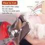 rabbitgoo Pet Nail Clippers for Small Animals, Professional Cat Nail Clippers & Claw Trimmer for Home Grooming Kit, Easy to Use Paw Grooming Tool for Dog Cat Rabbit Kitten Bird Puppy rabbitgoo Pet Nail Clippers for Small Animals, Professional Cat Nail Clippers & Claw Trimmer for Home Grooming Kit, Easy to Use Paw Grooming Tool for Dog Cat Rabbit Kitten Bird Puppy