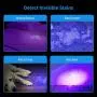 RENOOK 21 LEDs Mini UV Black Light Flashlight - 395nm Detector for Dog Pet Urine Stains Bed Bugs and Scorpions, Authenticate Currency, Detection of Fluorescent Agent for Mother, Camping Must, 2 Pack RENOOK 21 LEDs Mini UV Black Light Flashlight - 395nm Detector for Dog Pet Urine Stains Bed Bugs and Scorpions, Authenticate Currency, Detection of Fluorescent Agent for Mother, Camping Must, 2 Pack