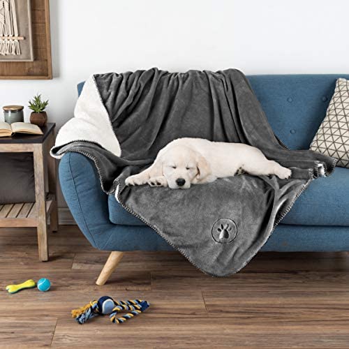 PETMAKER Waterproof Pet Blanket – 60inX50in Soft Plush Throw Protects Couch, Chair, Car, Bed from Spills, Stains Or Fur-Machine Washable (Gray), 50'' X 60''