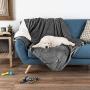 PETMAKER Waterproof Pet Blanket – 60inX50in Soft Plush Throw Protects Couch, Chair, Car, Bed from Spills, Stains Or Fur-Machine Washable (Gray), 50'' X 60''