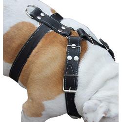 Black Genuine Leather Dog Harness, Large to XLarge. 33''-37'' Chest, 1.5'' Wide Straps, Rottweiler Bulldog