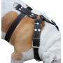 Black Genuine Leather Dog Harness, Large to XLarge. 33''-37'' Chest, 1.5'' Wide Straps, Rottweiler Bulldog