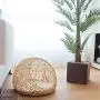 WWYM Four Seasons Universal Cat Litter Semi-Open Large Pet Bed Toy Removable and Washable Rattan Kennel WWYM Four Seasons Universal Cat Litter Semi-Open Large Pet Bed Toy Removable and Washable Rattan Kennel