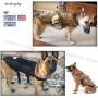Hanshengday Tactical Dog Vest Training Molle Harness-Tactical Dog Backpack-Pet Tactical -Vest Military Working Harness for Large Dog