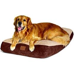 Floppy Dawg Large Dog Bed with Removable, Machine Washable Cover and Waterproof Liner. Classic Pillow Stuffed with Orthopedic Memory Foam Blend. Made for Dogs up to 90 Pounds. 40L x 28W x 8H