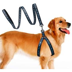 Tyhocent Durable Anti-Breakaway Dog Harness and 4.7FT Leash Set Soft Nylon Adjustable Dog Harness for Small Medium Large Puppy, Perfect for Dog Daily Training Walking Running