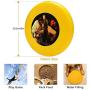 Pet Frisbee Flying Disc Dog Toy - Multifunction The Incredulity of Saint Thomas Caravaggio