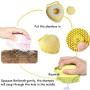 Nother Dog Massage Brush Shampoo Dispenser Cat Soft Grooming Comb Pet Shampoo Bath Brush for Shedding Hair Soft Rubber Scrubber Tool for Small Animals with Short or Long Hair