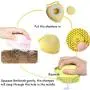 Nother Dog Massage Brush Shampoo Dispenser Cat Soft Grooming Comb Pet Shampoo Bath Brush for Shedding Hair Soft Rubber Scrubber Tool for Small Animals with Short or Long Hair Nother Dog Massage Brush Shampoo Dispenser Cat Soft Grooming Comb Pet Shampoo Bath Brush for Shedding Hair Soft Rubber Scrubber Tool for Small Animals with Short or Long Hair