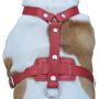 Genuine Leather Dog Harness, 37''-45'' Chest, 1'' Wide Straps. XXLarge. Newfoundland, Great Dane