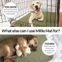 Millie Mats Washable Dog Pee Pads for Puppies, Incontinent & Senior Dogs. Leak Proof to Protect Floors, Car, Keep Crate Easy to Clean. Reusable Indoor Potty Pad Puppy Tested Size 31'' x 36'' 2 Pack