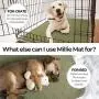 Millie Mats Washable Dog Pee Pads for Puppies, Incontinent & Senior Dogs. Leak Proof to Protect Floors, Car, Keep Crate Easy to Clean. Reusable Indoor Potty Pad Puppy Tested Size 31'' x 36'' 2 Pack Millie Mats Washable Dog Pee Pads for Puppies, Incontinent & Senior Dogs. Leak Proof to Protect Floors, Car, Keep Crate Easy to Clean. Reusable Indoor Potty Pad Puppy Tested Size 31'' x 36'' 2 Pack