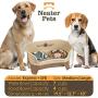 Neater Feeder Express Elevated Dog and Cat Bowls - Raised Pet Dish - Stainless Steel Food and Water Bowls for Small to Large Dogs and Cats