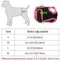 DONGXIONG Female Dog Shorts Puppy Physiological Pants Diaper Pet Underwear for Small Meidium Girl Dogs,Black,L