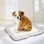 PAWISE Dog Indoor Potty Kit with 12pcs Quilted Pee Pads, Puppy Pad Floor Holder Tray, 23.6X23.6, Ready for Use