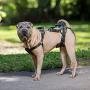 PetSafe CareLift Lifting Harness - Full Body Lifting Aid with Handle - Ideal for Mobilising Sick or Older Pets - Comfortable Breathable Material - Easy to Adjust
