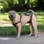 PetSafe PetSafe CareLift Support Harness - Full-Body Lifting aid with Handle - Great for pet Mobility and Older Dogs - Comfortable, Breathable Material - Easy to Adjust - Medium PetSafe PetSafe CareLift Support Harness - Full-Body Lifting aid with Handle - Great for pet Mobility and Older Dogs - Comfortable, Breathable Material - Easy to Adjust - Medium