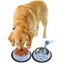 Set of 2 Etched Food Grade Stainless Steel Dog Bowls - 32oz Dry Weight - Dishwasher Safe - Bacteria & Rust Resistant - Non-Skid No-Tip Natural Rubber Base - Odor Free Alternative to Plastic