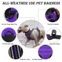 Dog Harness, No-Pull Pet Harness with a Matching dog Leash - Breathable Chest Padded Mesh Adjustable Reflective Dog Vest, Front/Back Leash Clips and Easy Control Handle for Outdoor Walking Training