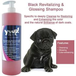 YUUP! Italy Home & Professional Cat and Dog Shampoo for Dark Black Coats - Antioxidating & Glossing & Detangling & Reviving Hairs Color(17 oz/ 33.8 oz)