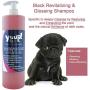 YUUP! Italy Home & Professional Cat and Dog Shampoo for Dark Black Coats - Antioxidating & Glossing & Detangling & Reviving Hairs Color(17 oz/ 33.8 oz)