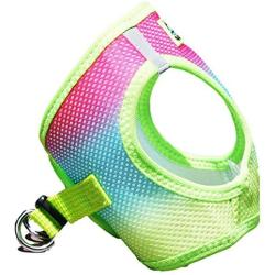 American River Dog Harness Ombre Collection - Rainbow XXL