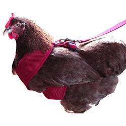 Omnipet Chicken Mesh Harness Small Blue