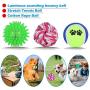 Yipetor Puppy Toys,10 PACK Small Dog Chew Toys, Lovely Squeaky Plush Elephant, Tennis Ball, Rubber Rope Combination Toy Set,Durable Puppy Teething Toys, Pomeranian, Corgi, Poodle, German Shepherd Toys
