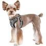 Puppia Legacy Harness C